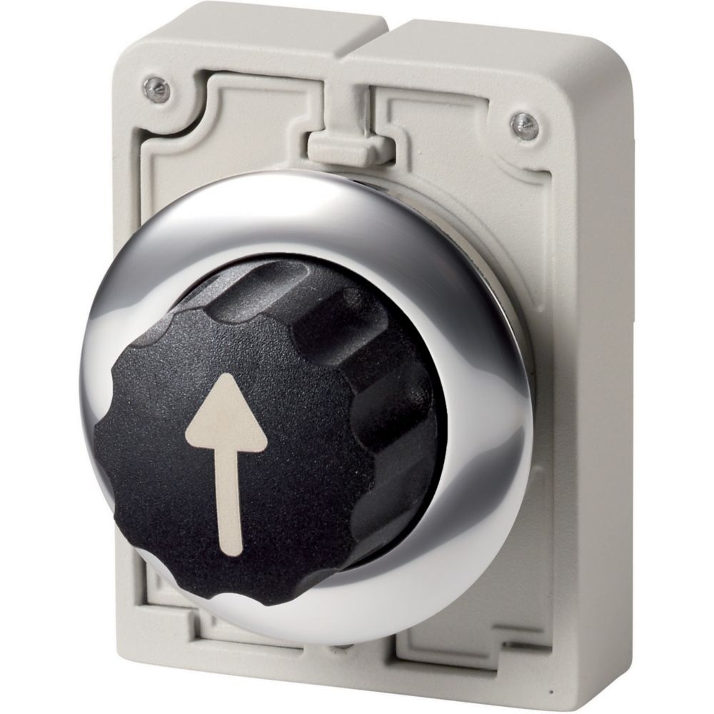 Eaton Wahltasten 187107 Typ M30C-FWR3-X7