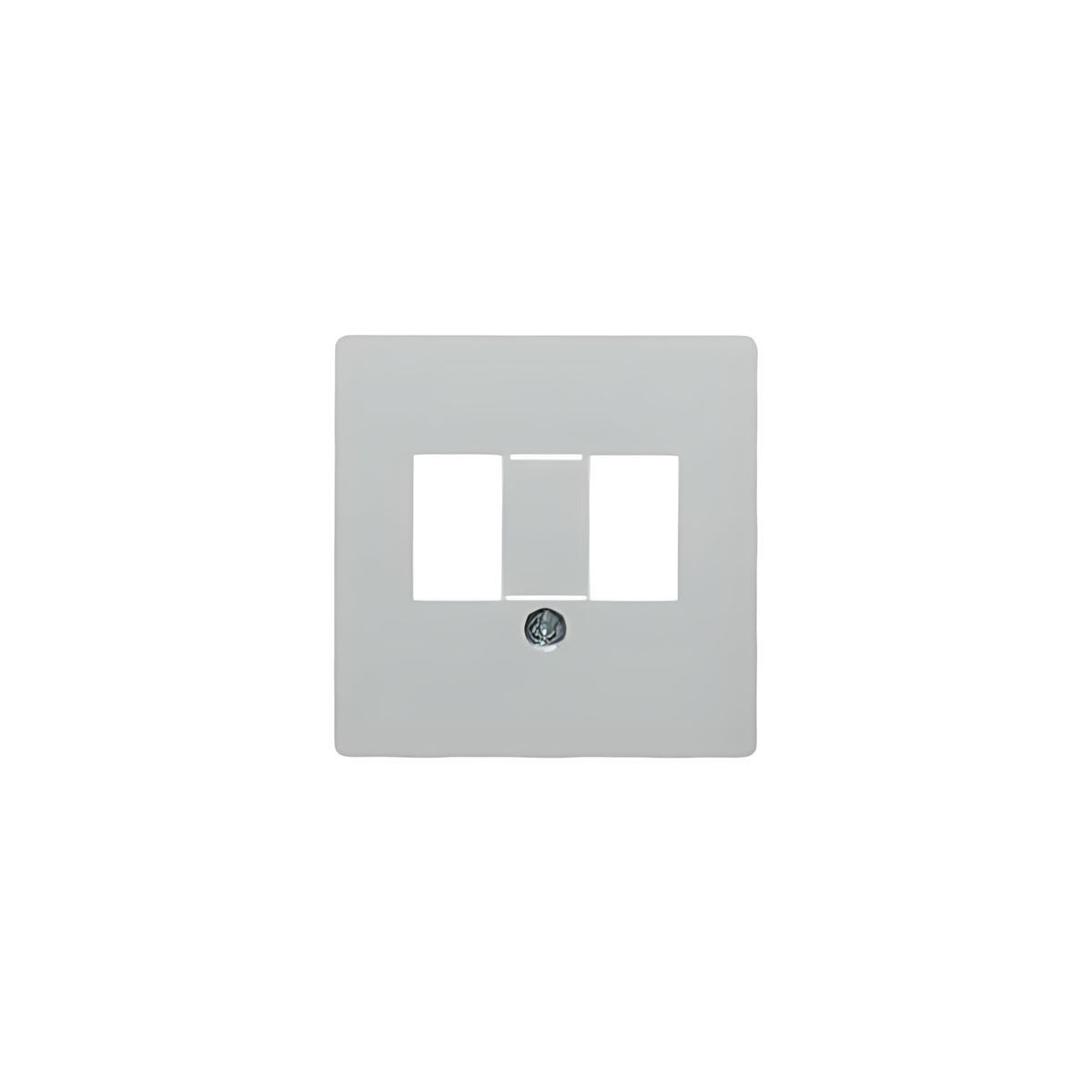 Berker Zentralplatte 14581909