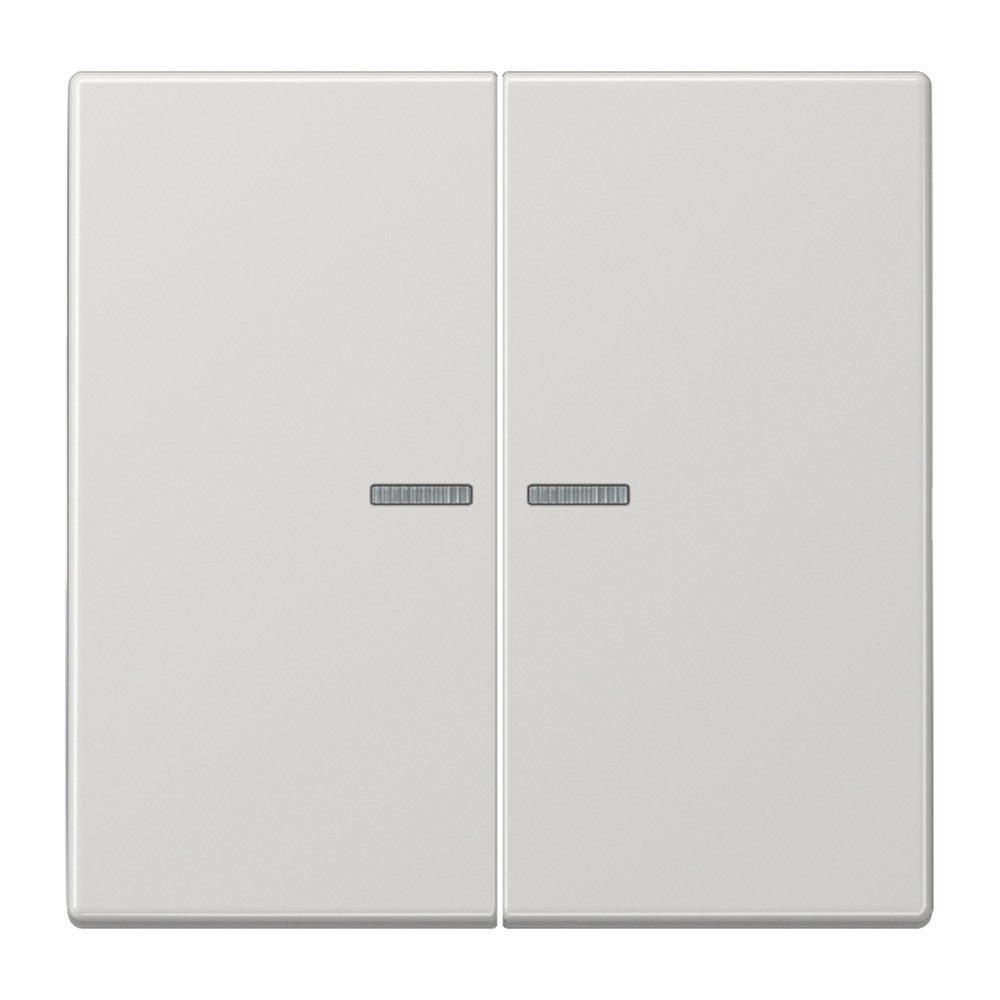 Jung JUNG HOME Taster BTLS17102LG