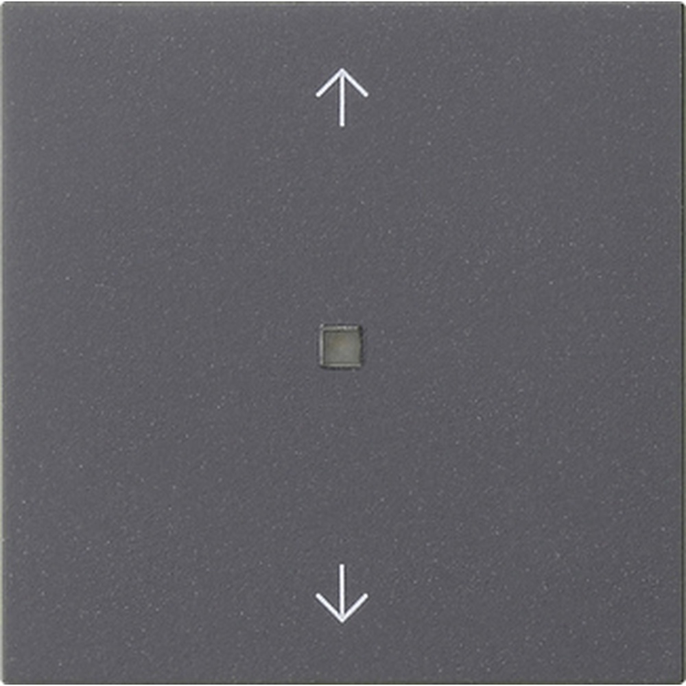 Gira Bedienaufsatz BT 538228