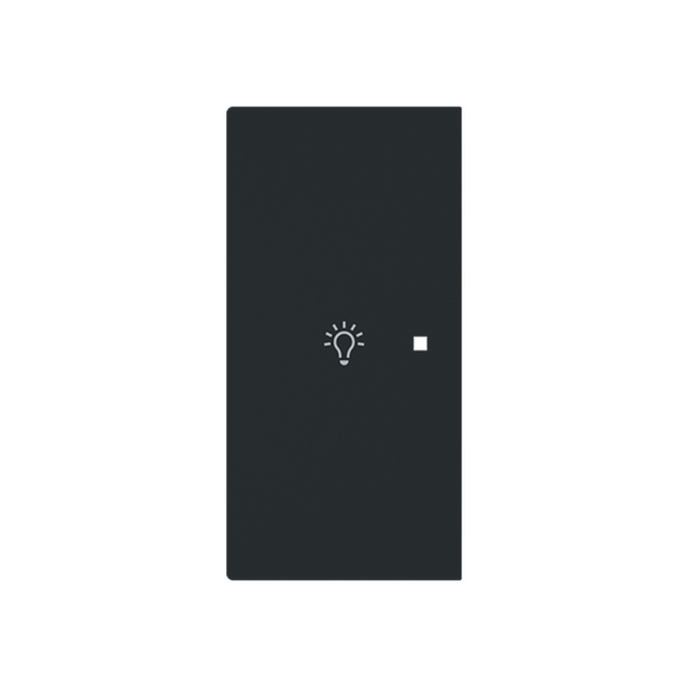 Busch-Jaeger Wippe 6231-21-45M Typ 2CKA006220A0951