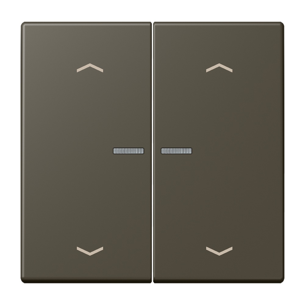 Jung Wippe mit Lichtleiter LC102KO5P241