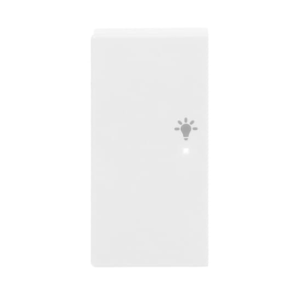 Busch-Jaeger Wippe 6231-21-84 Nr. 2CKA006220A0052