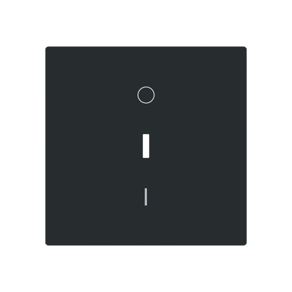 Busch-Jaeger Wippe 1788-45M Typ 2CKA001751A3356