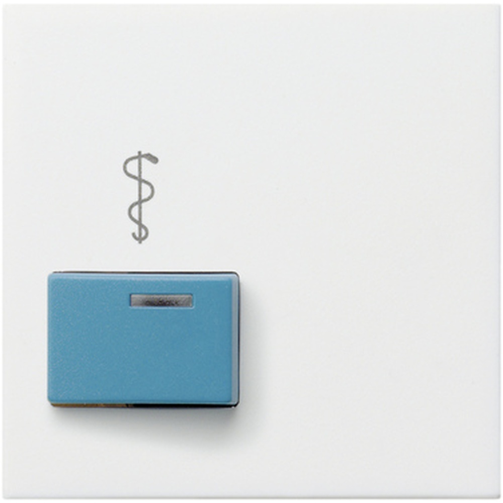 Gira Abdeckung Ackermann 023127