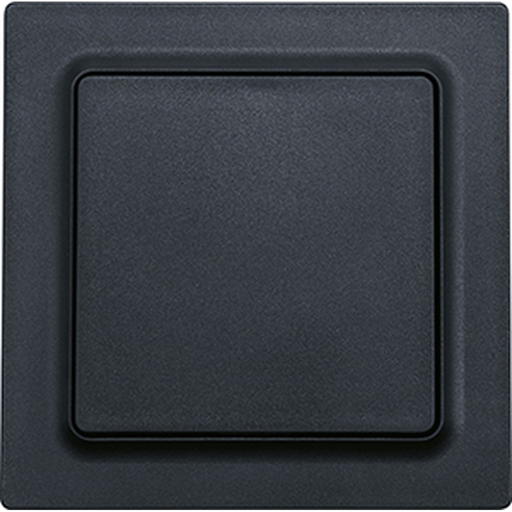 ELTAKO Funktaster 30055718 Typ F2T55E-am