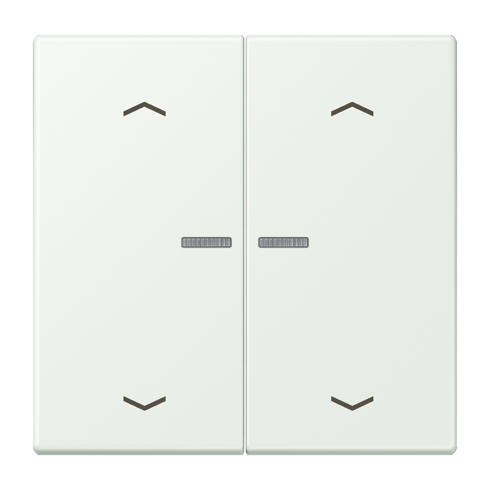 Jung Wippe mit Lichtleiter LC102KO5P210