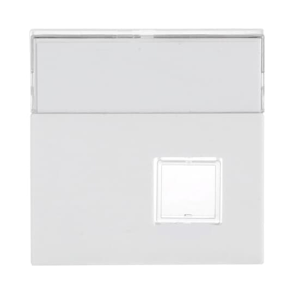 Busch-Jaeger Zentralscheibe 1571 CN-84 Nr. 2CKA001582A0346