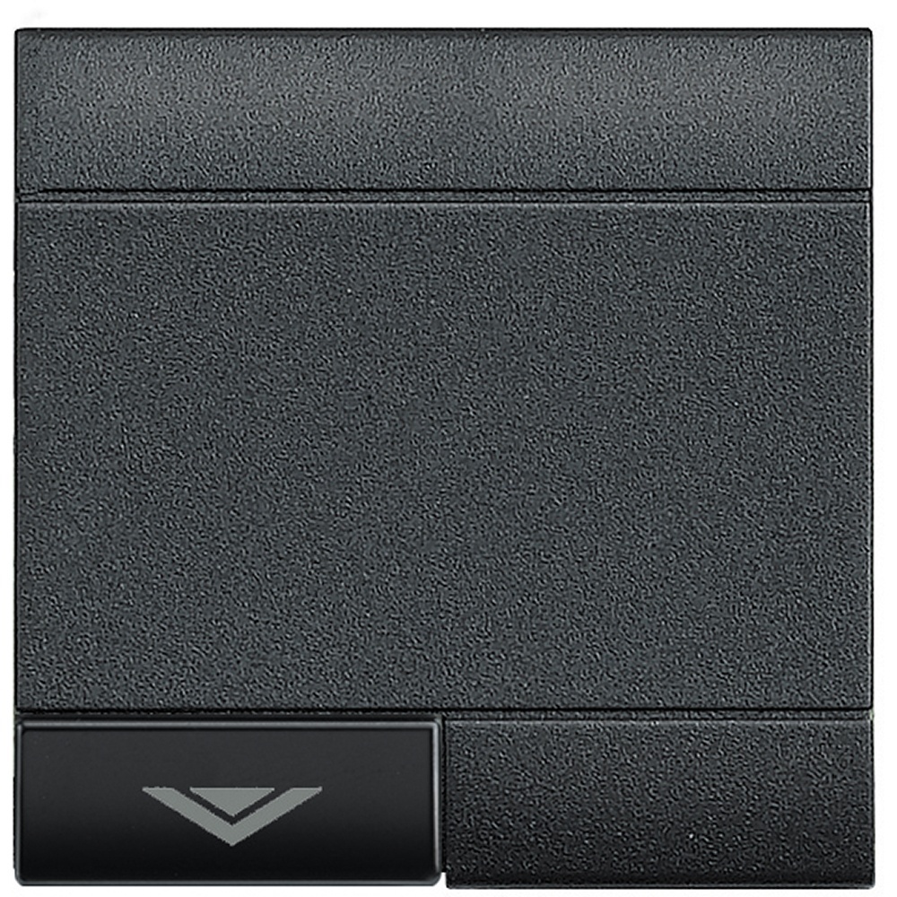 Bticino Wippe L4915M2ADN