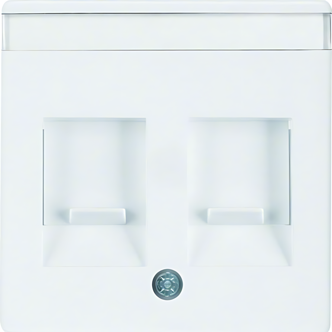 Berker Zentralstück 11816089