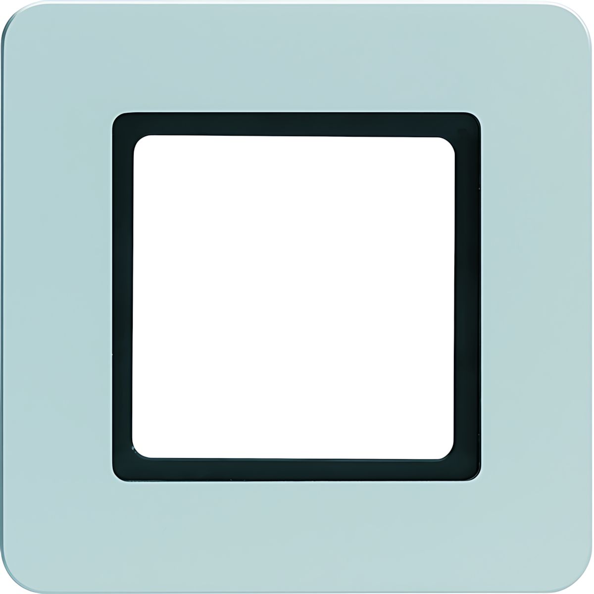 Berker Rahmen 1fach 10116104