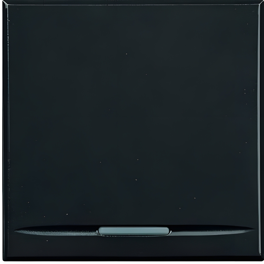 Bticino Wippe HS4915/2