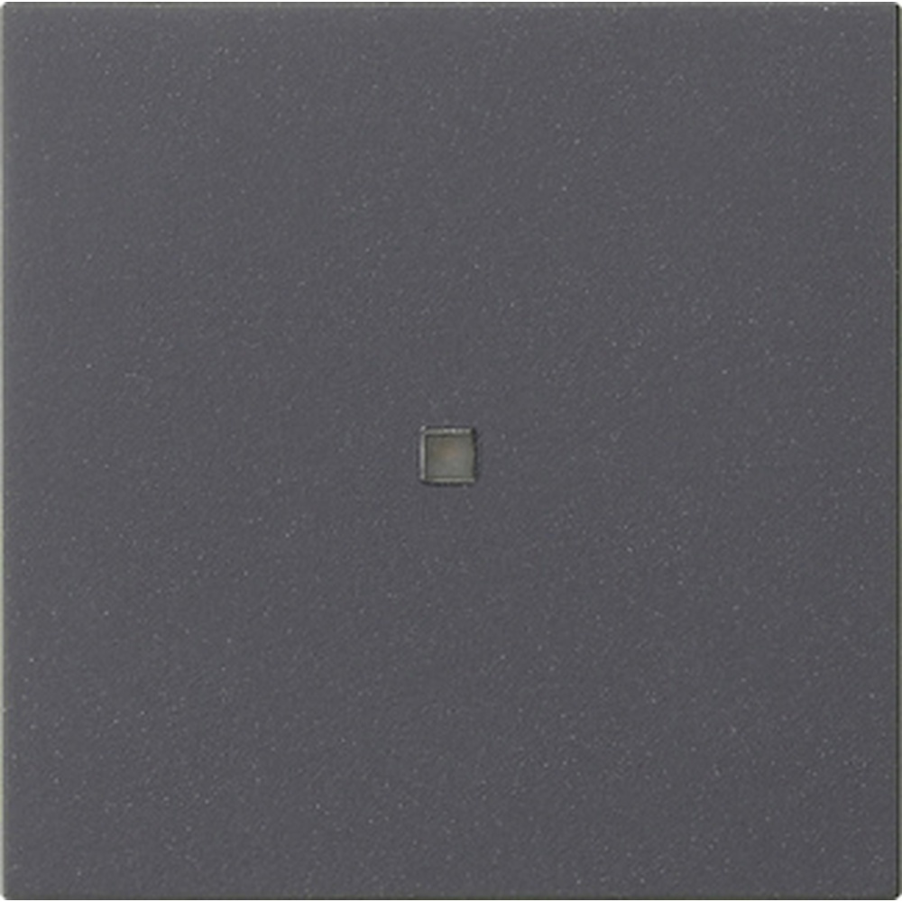 Gira Wippe 1fach 537128