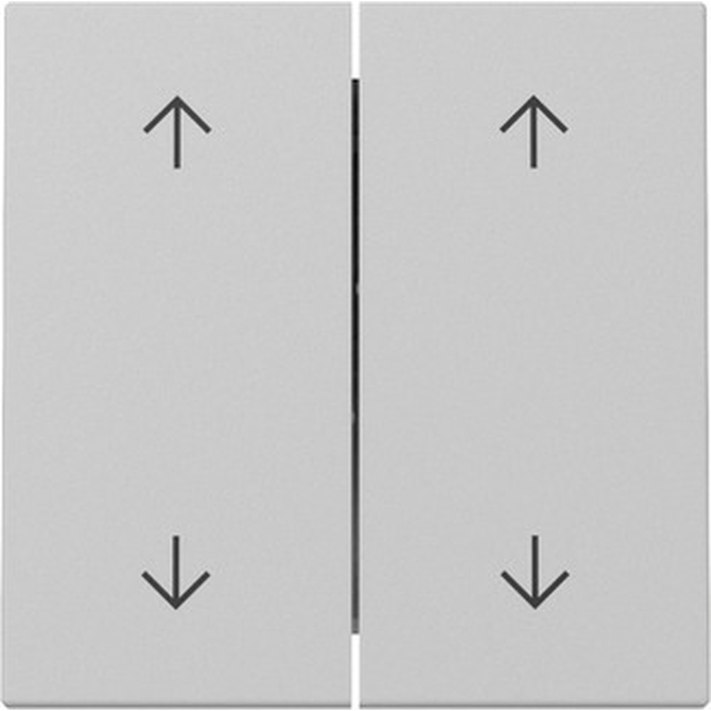 Gira Wippe 2fach 3297015