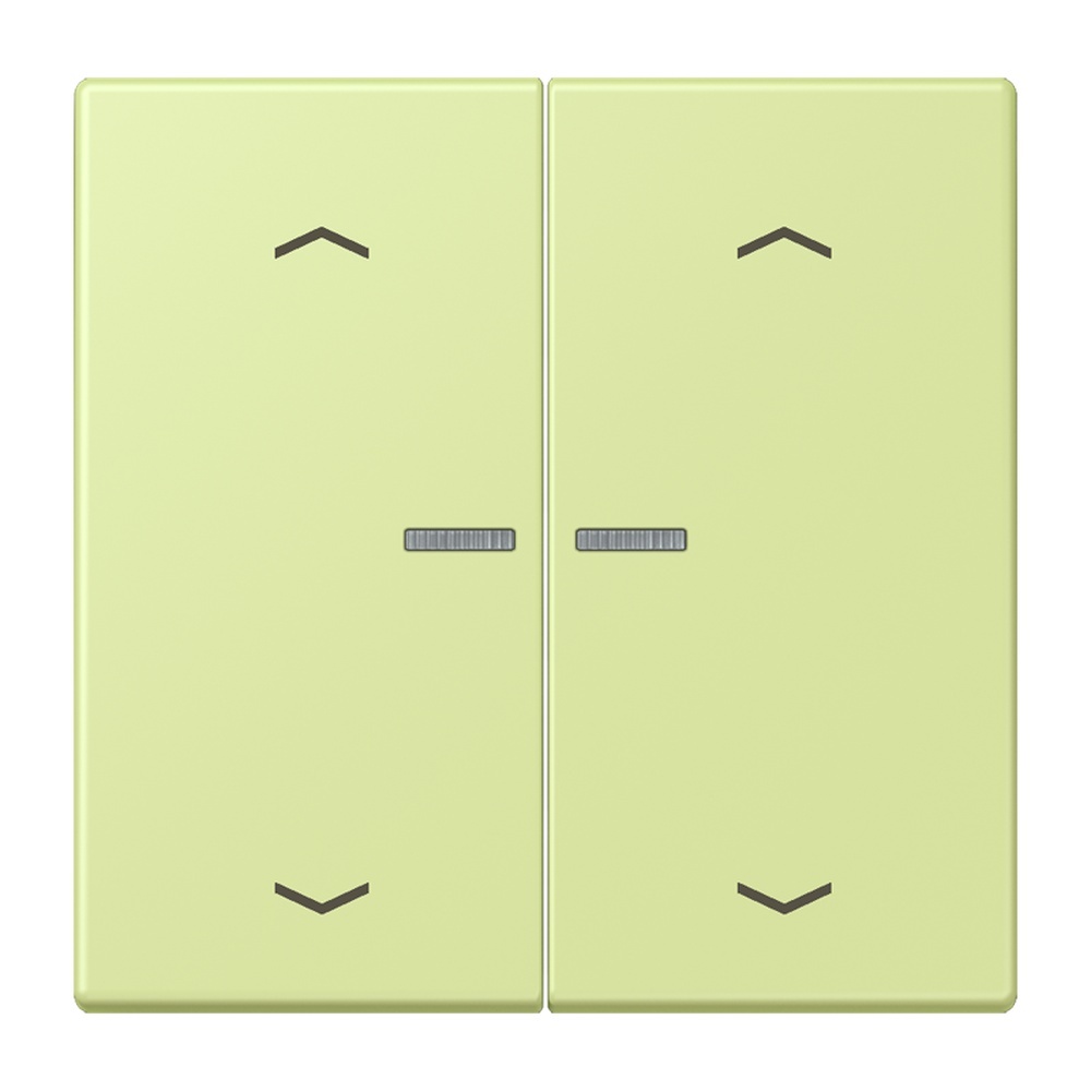 Jung Wippe mit Lichtleiter LC102KO5P222