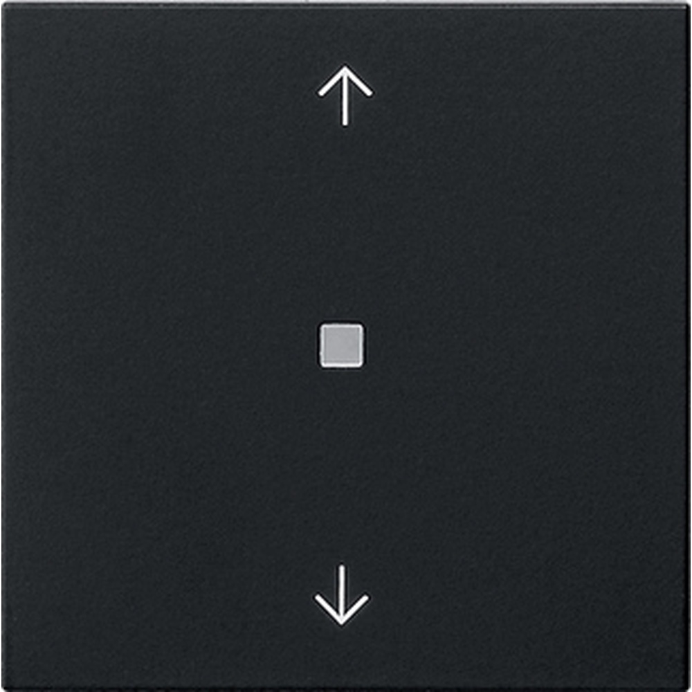 Gira Bedienaufsatz BT 5382005