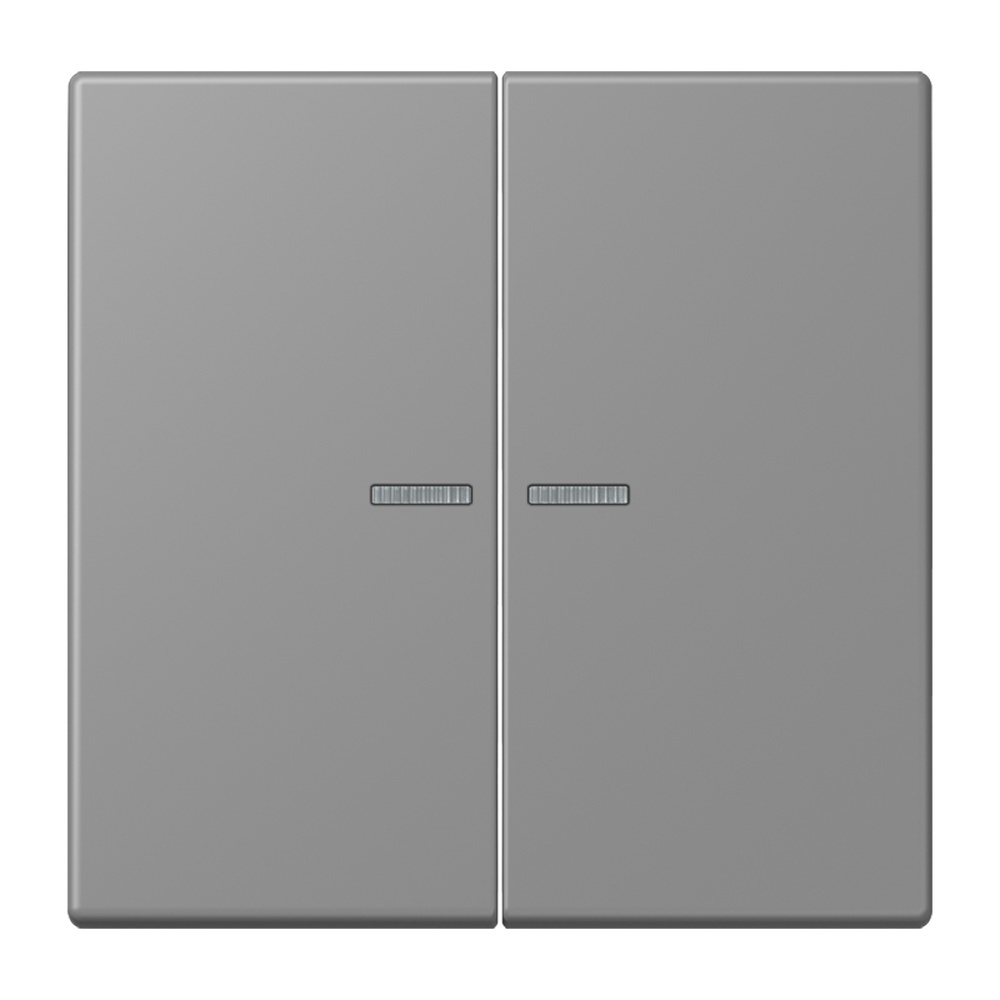 Jung Wippe mit Lichtleiter für Taster 2fach LC102KO5203