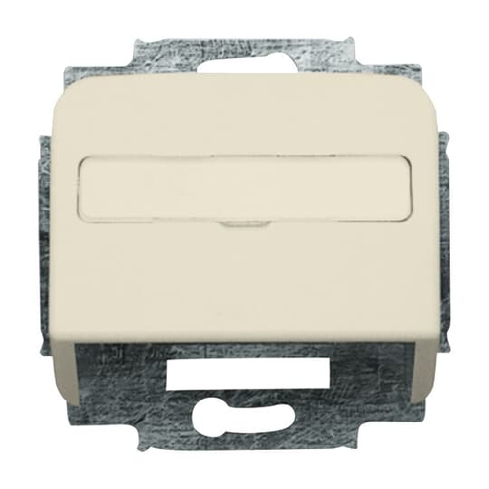 Busch-Jaeger Zentralscheibe 1758-212 Nr. 2CKA001724A1002