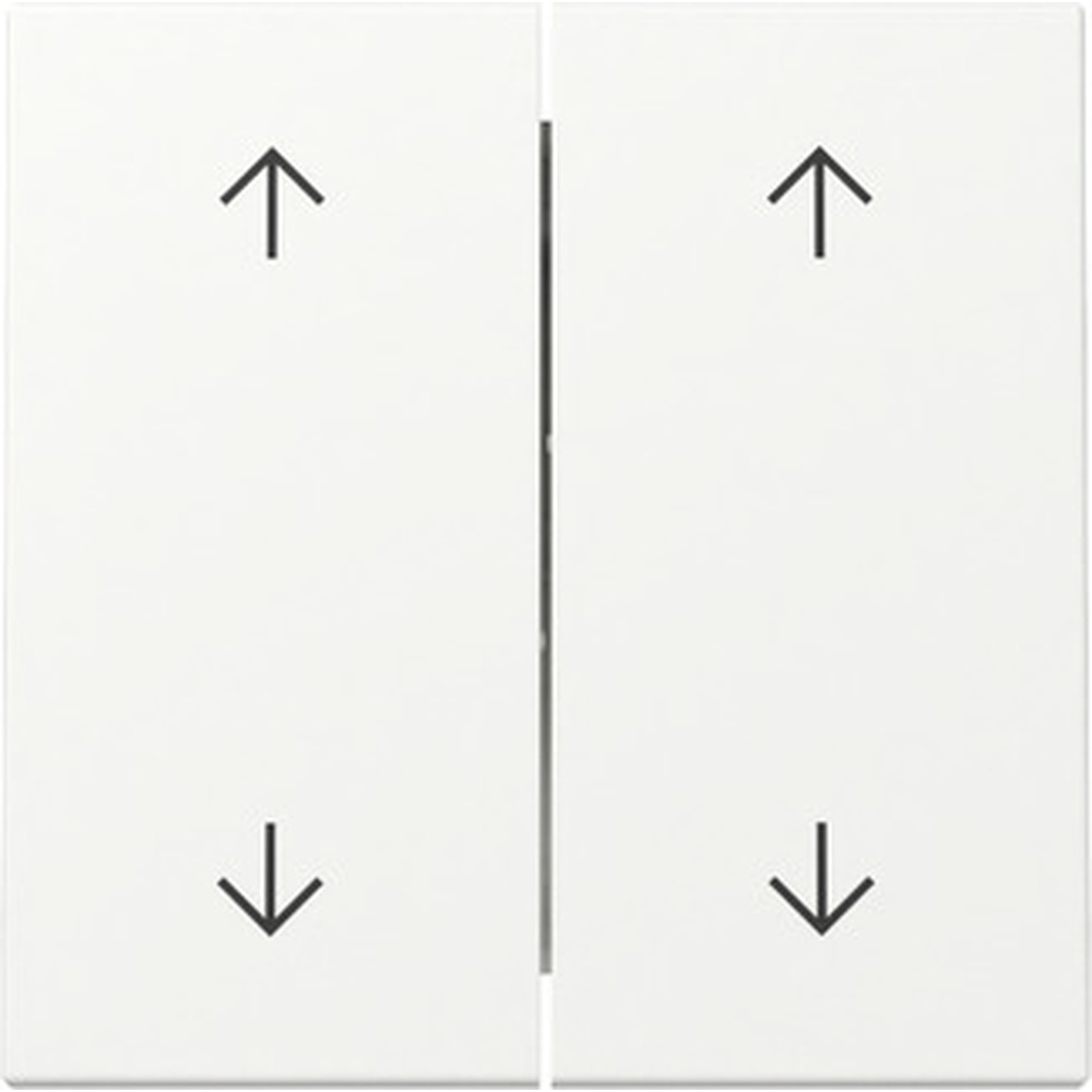 Gira Wippe 2fach 329727