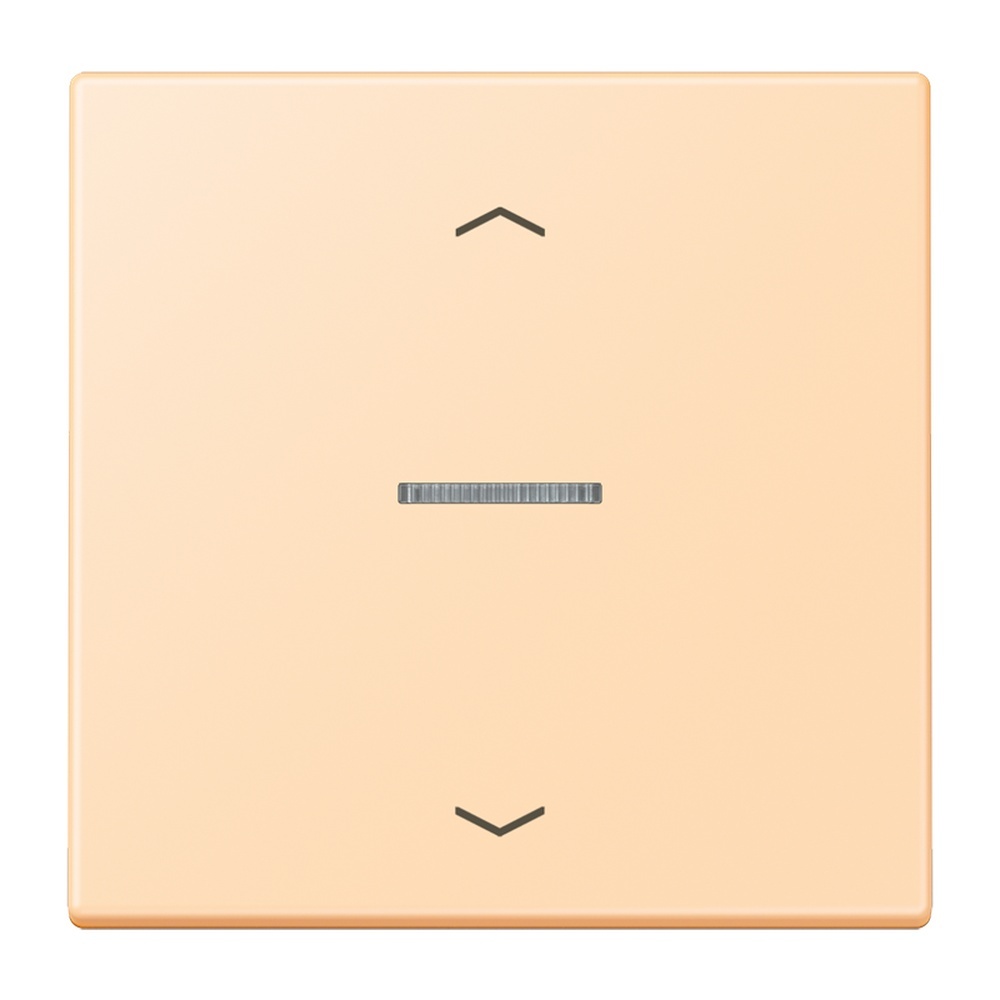 Jung Wippe mit Lichtleiter LC101KO5P223