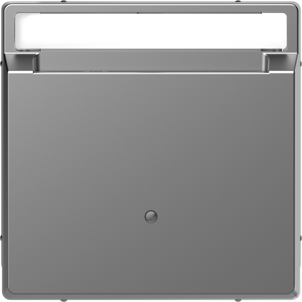 Merten Card-Schalter MEG3854-6036