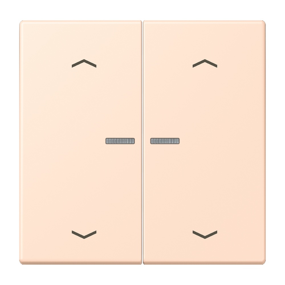 Jung Wippe mit Lichtleiter LC102KO5P228