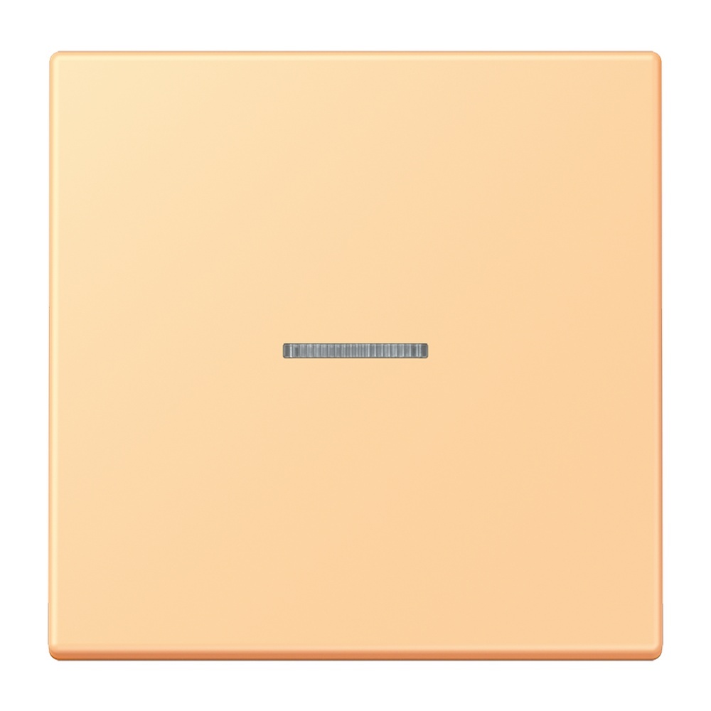 Jung Wippe mit Lichtleiter für Taster 1fach LC101KO5258