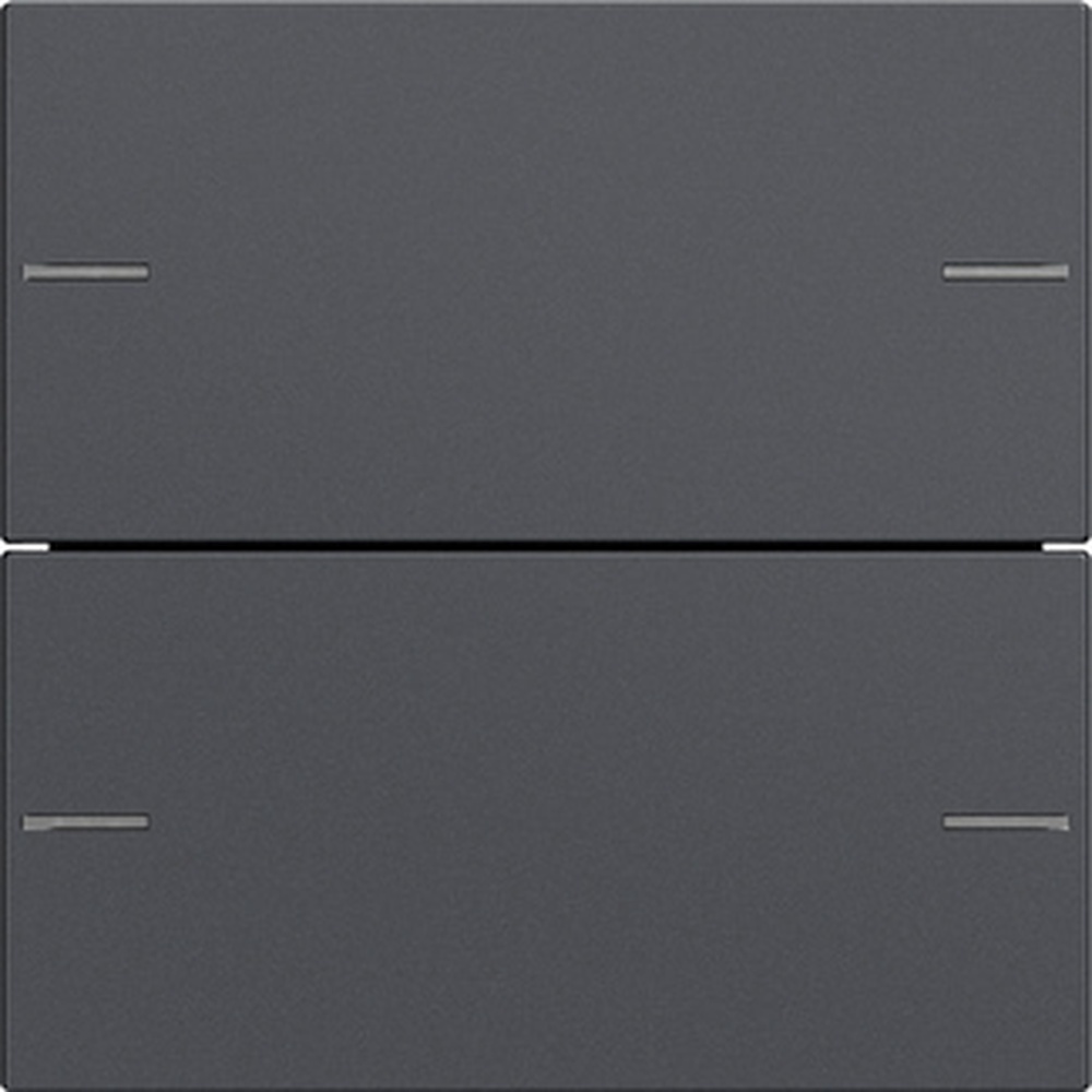 Gira Wippenset 2fach 575228