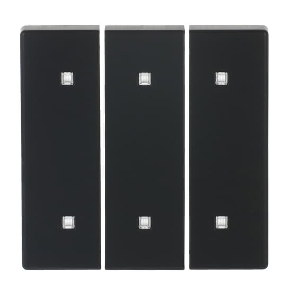 Busch-Jaeger Wippe Elektroniktaster 3fach 2570-30-885 Nr. 2CKA001751A3284