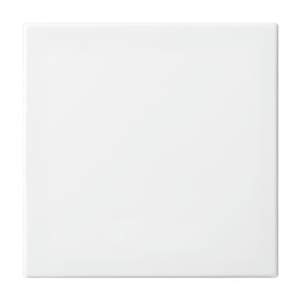 Busch-Jaeger Wippe 2506-914 Nr. 2CKA001731A2002