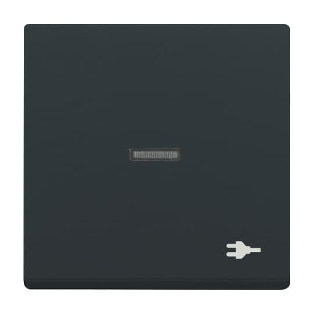 Busch-Jaeger Wippe 1789 ST-81 Nr. 2CKA001751A3157