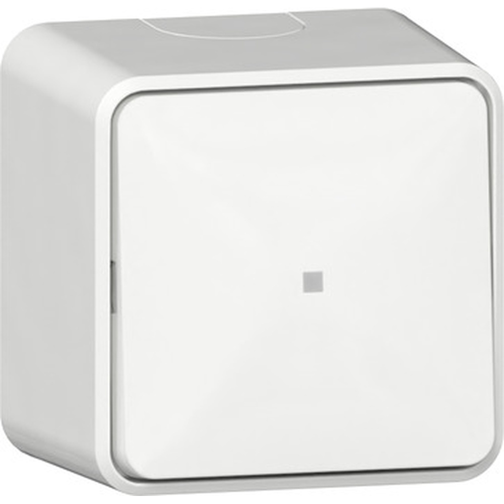 Gira Wipptaster 315613