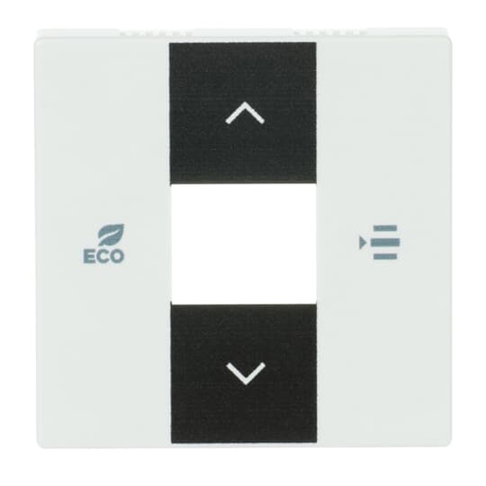 Busch-Jaeger Zentralscheibe 6236-84 Nr. 2CKA006220A0250