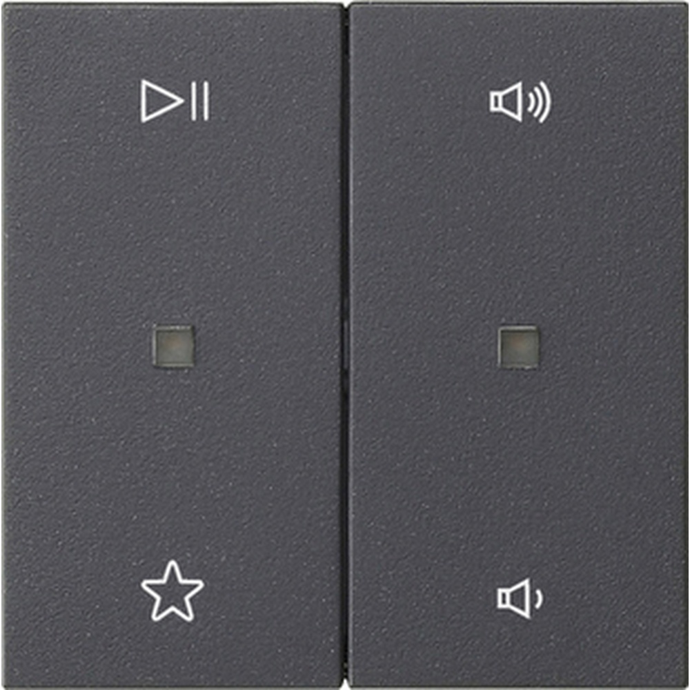 Gira Wippe 2fach 538428