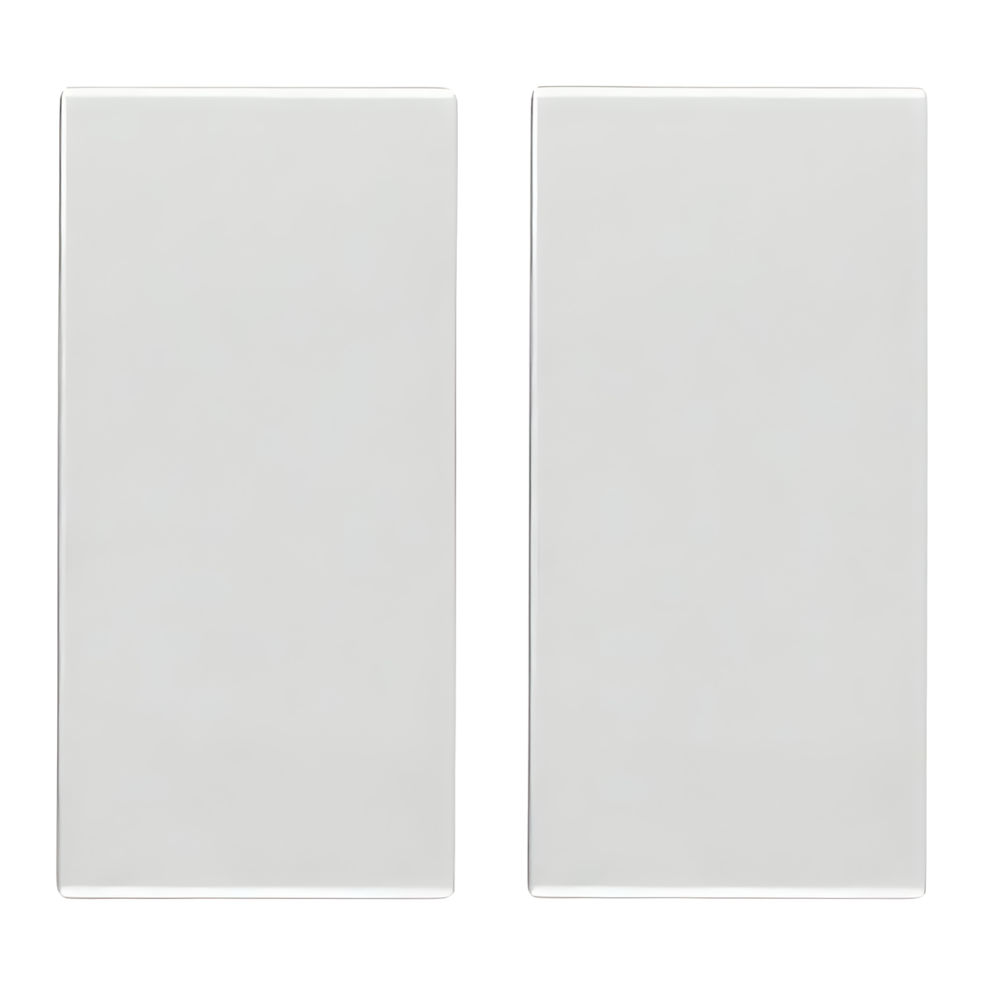 VIMAR Doppel Taste 20506.N