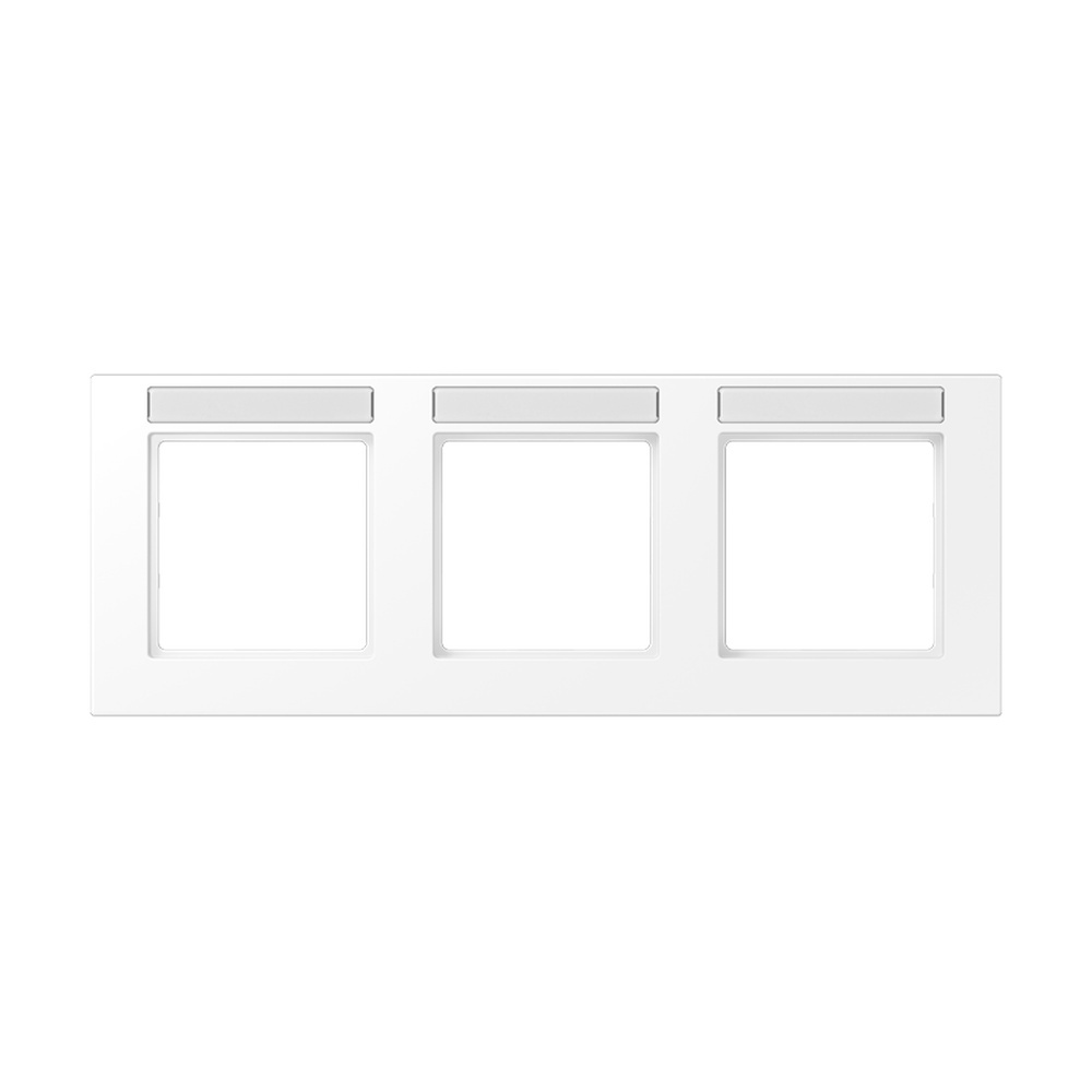 Jung Rahmen A55830BFNAWWM