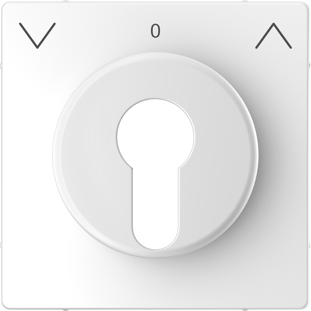 Merten Zentralplatte MEG3883-6035