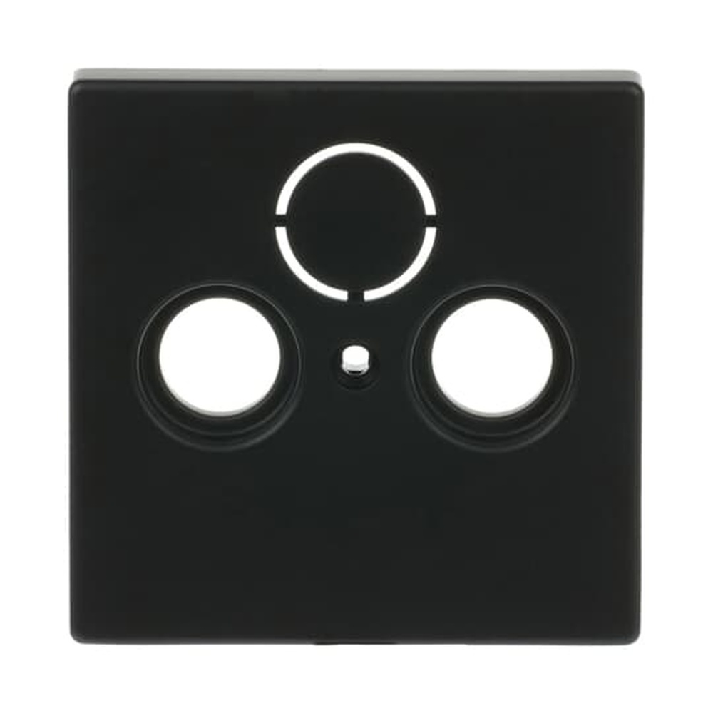 Busch-Jaeger Zentralscheibe 1743-885 Nr. 2CKA001724A4298