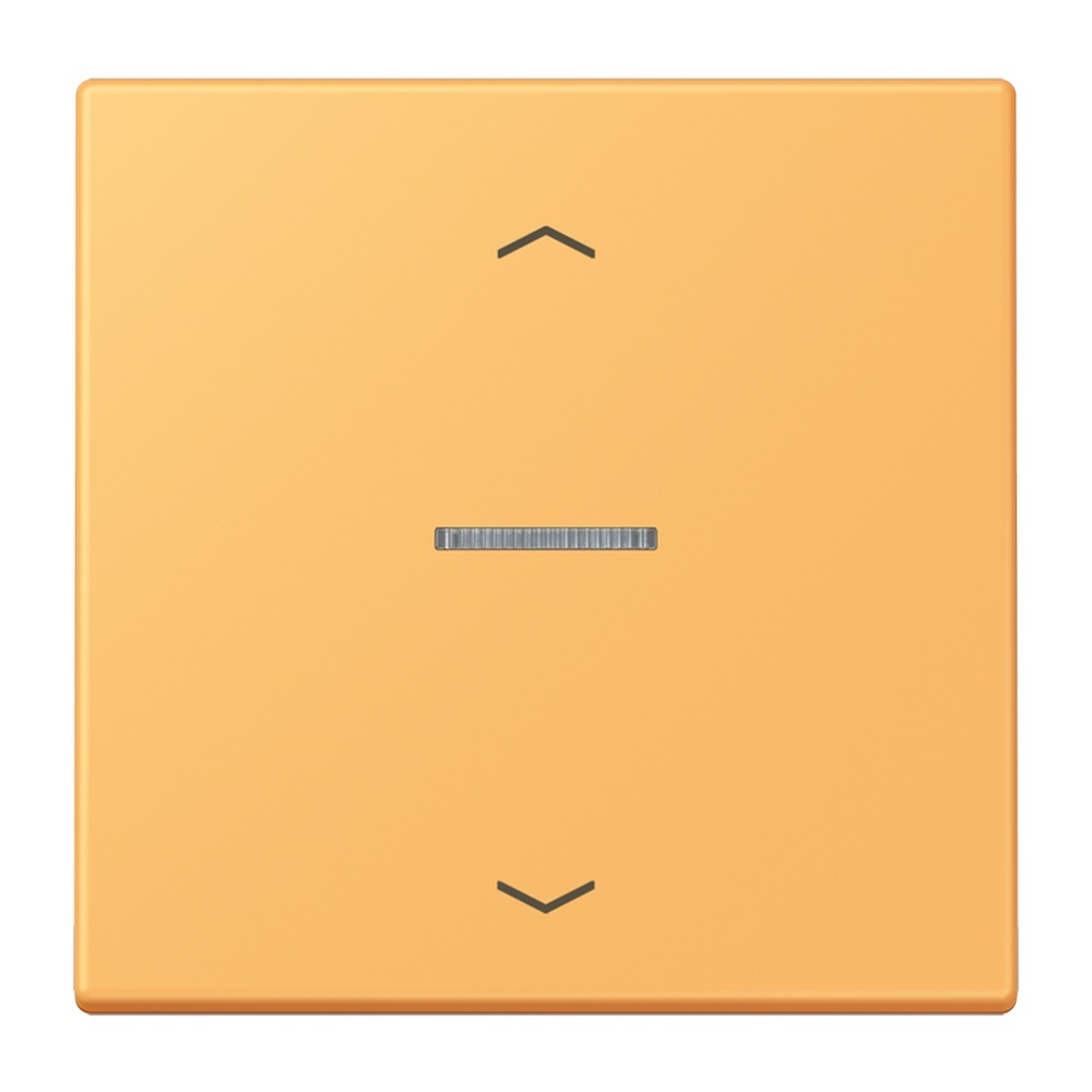 Jung Wippe mit Lichtleiter LC101KO5P254