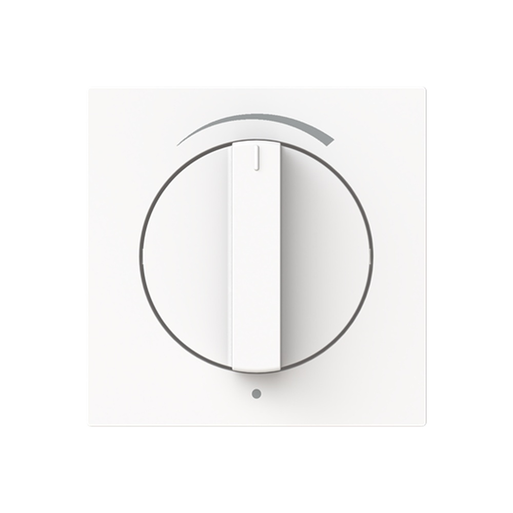 Busch-Jäger Zentralscheibe 1740 DR/03-44M Nr. 2CKA001710A4138