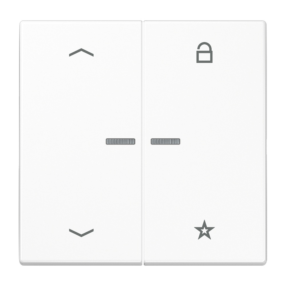 Jung eNet Funk Steuertaste FMLS1701PWW