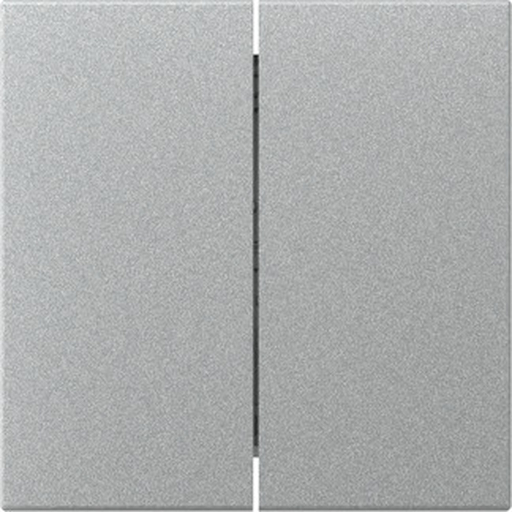 Gira Wippe 2fach 349526