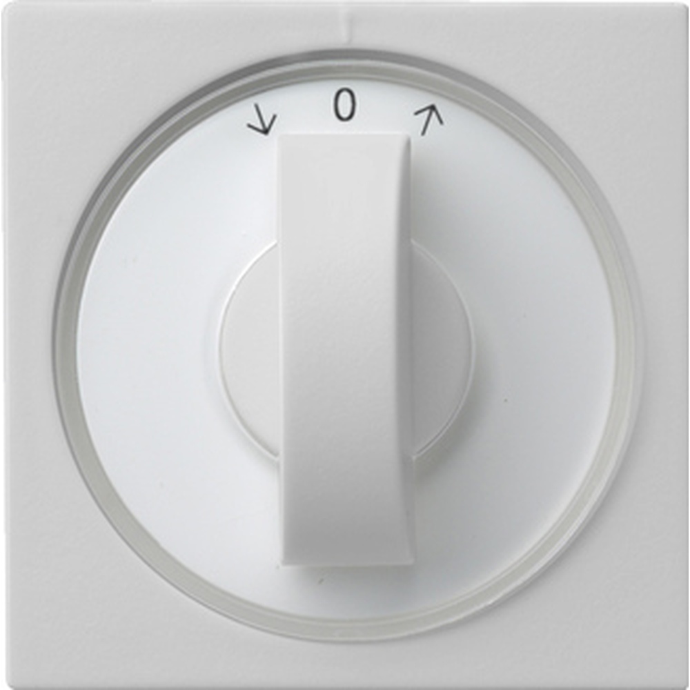 Gira Abdeckung mit Knebel 0666015