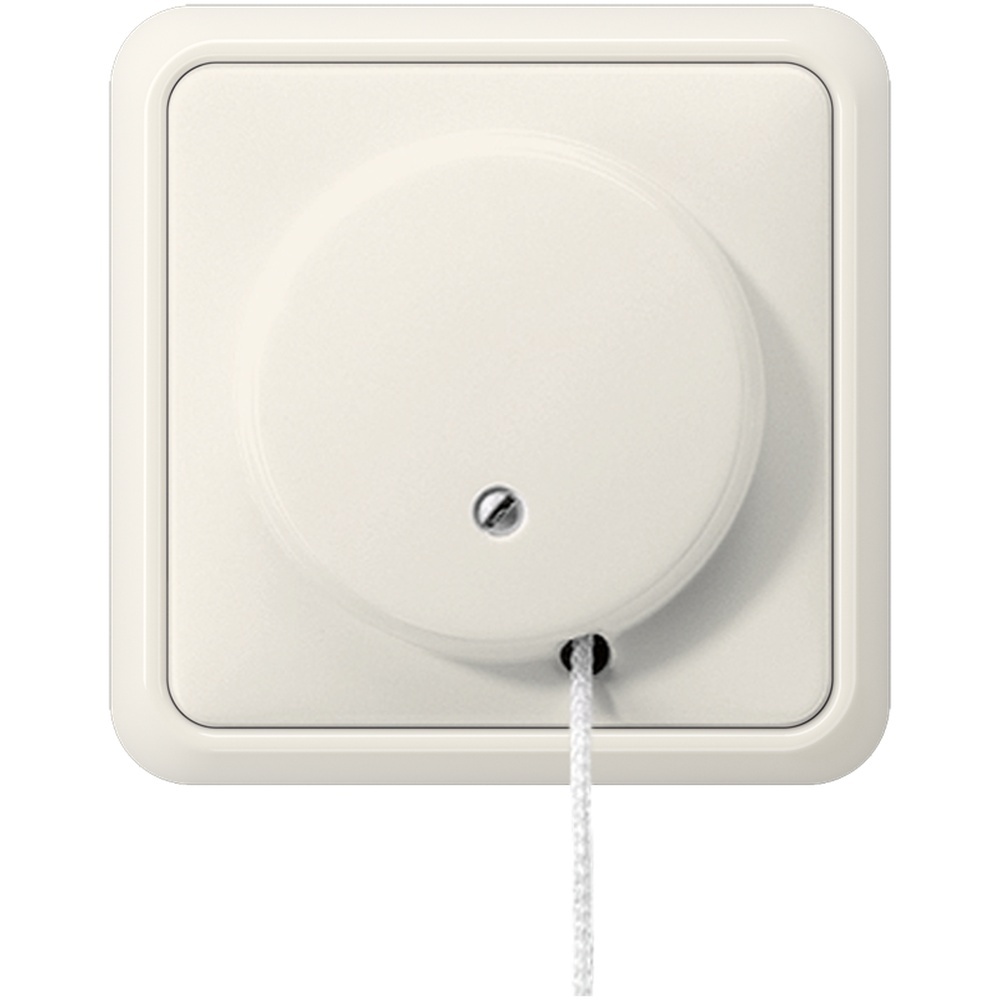 Jung Zug Wechselschalter 5506 ZU