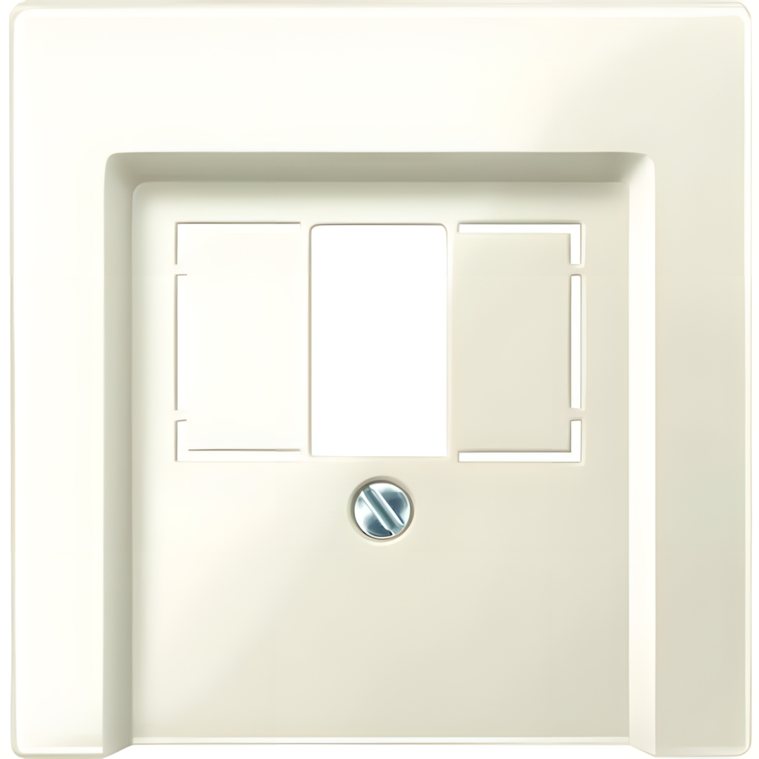 Merten Zentralplatte 296044