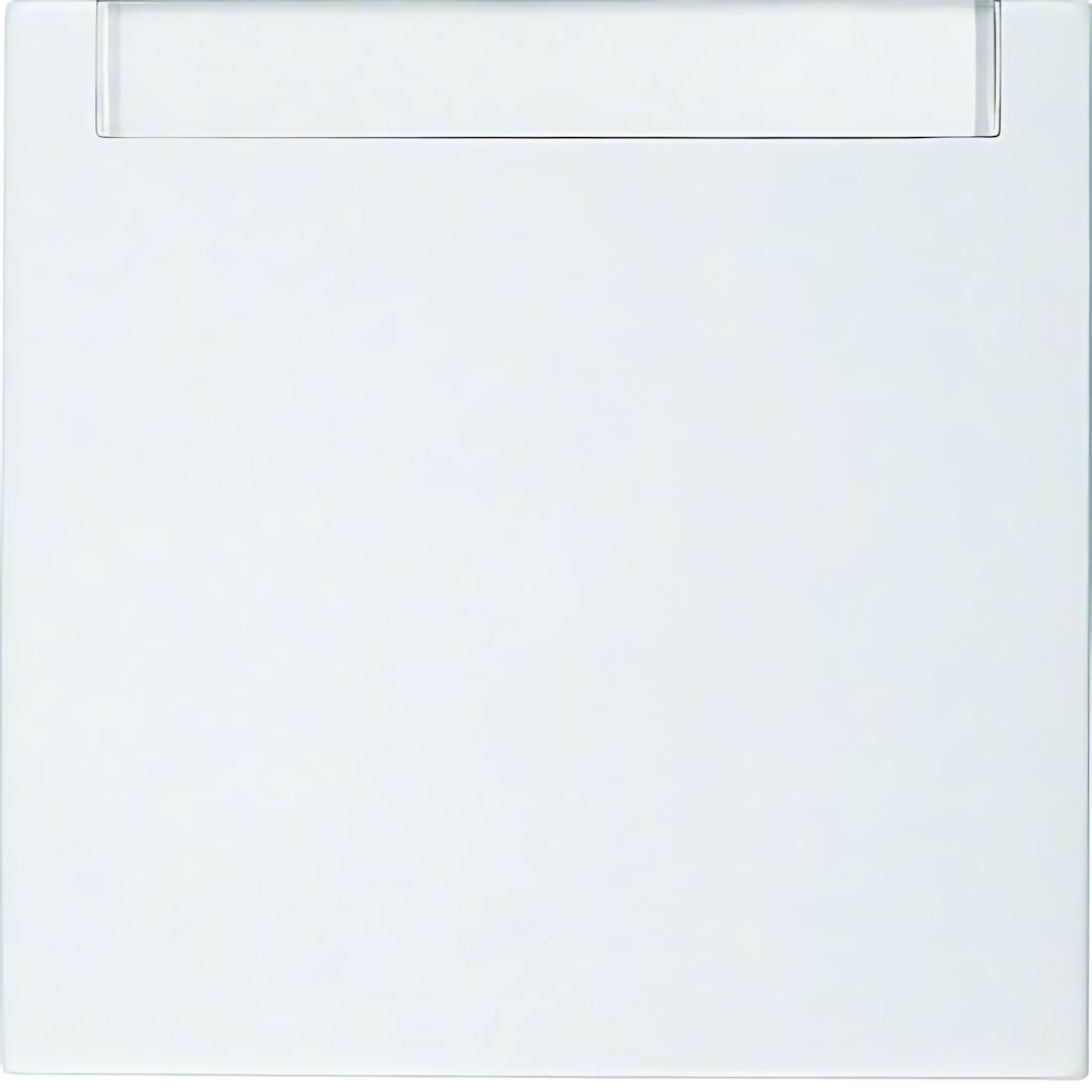 Berker Wippe 16268989