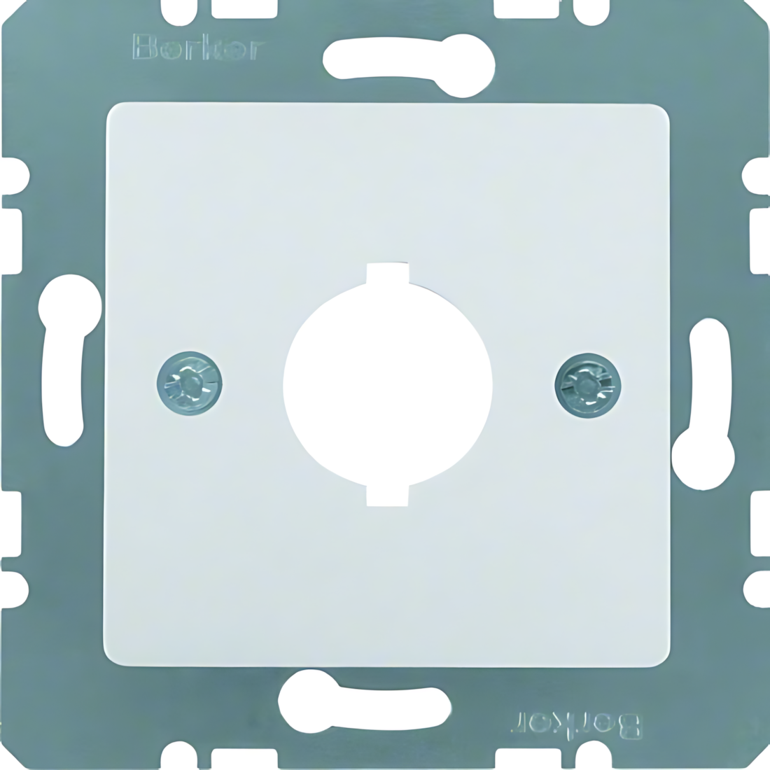 Berker Zentralplatte 14311404