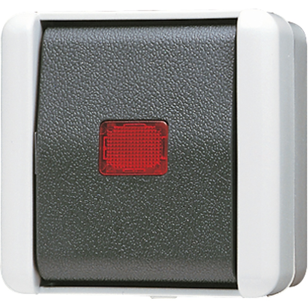 Jung Wipp Kontrollschalter 806 KOW