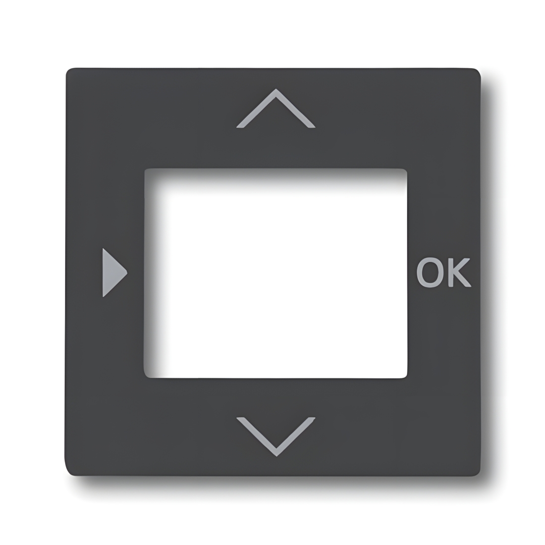 Busch-Jaeger Zentralscheibe 6435-81 Nr. 2CKA006430A0303