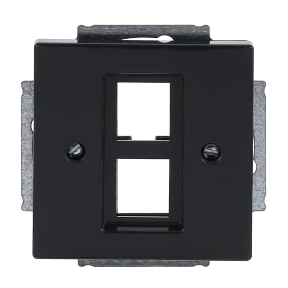 Busch-Jaeger Zentralscheibe 2561-02-81 Nr. 2CKA001753A0317